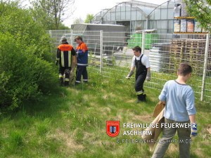 Newsfoto 05.2006