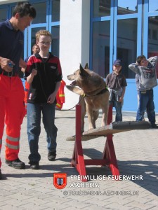 Newsfoto 06.2009