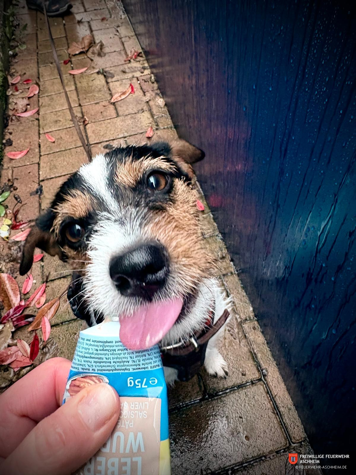 RAMADAMA – Die Flurreinigungsaktion in Aschheim